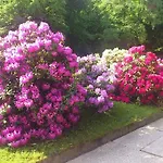 Waldhotel Berghof Thueringer Wald Luisenthal