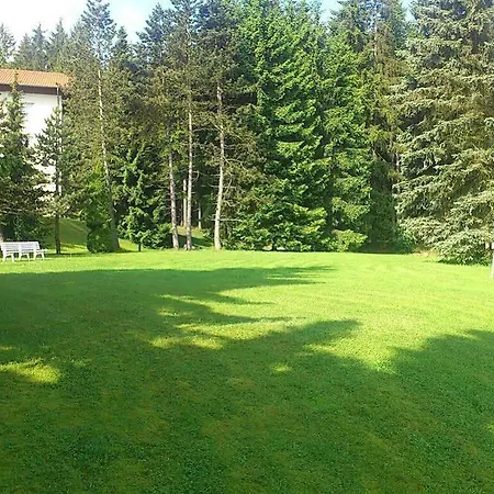 Waldhotel Berghof Hotel 4*