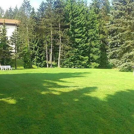 Waldhotel Berghof Thueringer Wald מלון 4*