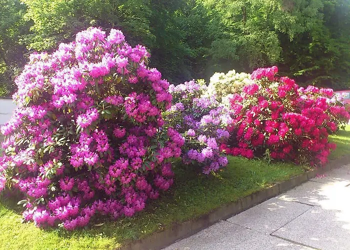 Waldhotel Berghof Thueringer Wald Luisenthal