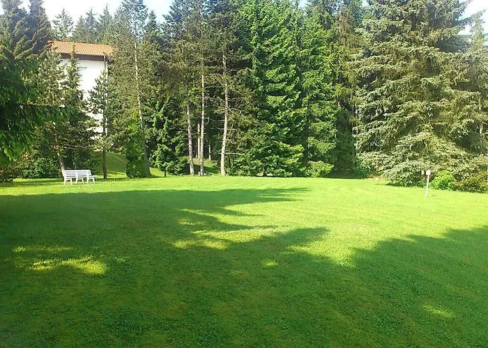Waldhotel Berghof Thueringer Wald Ξενοδοχείο 4*